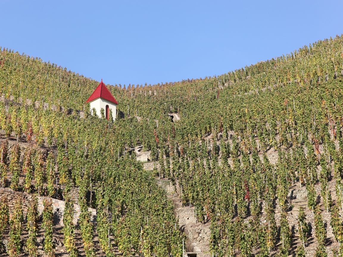 cote-rotie