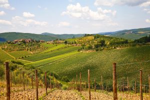 Lire la suite à propos de l’article Chianti, le plus célèbre des vins italiens