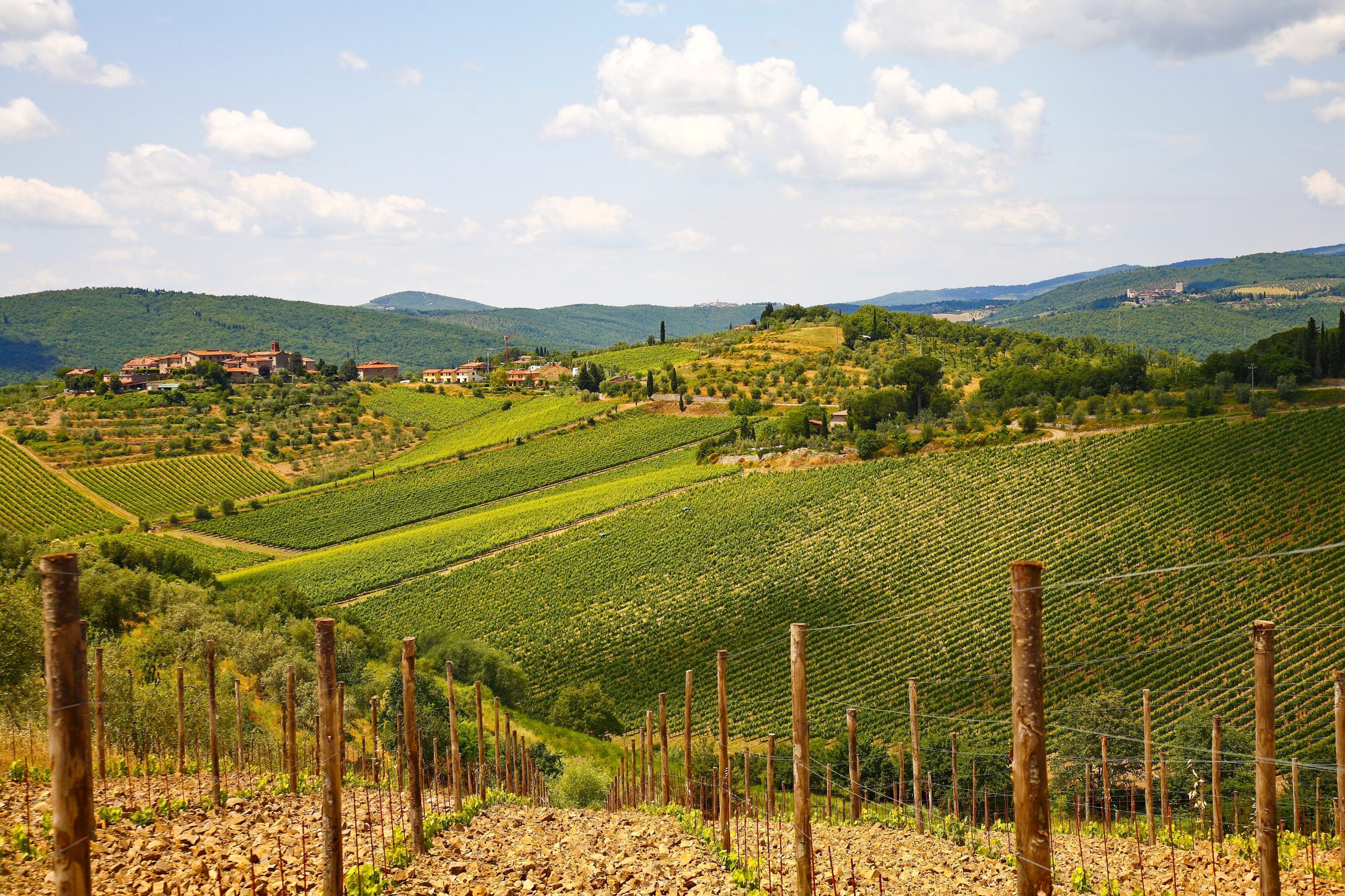 Lire la suite à propos de l’article Chianti, le plus célèbre des vins italiens