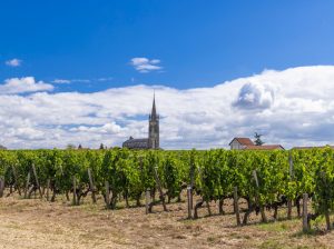 Lire la suite à propos de l’article Pomerol, un terroir d’exception