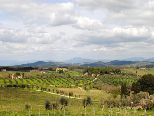Lire la suite à propos de l’article Chianti, le plus célèbre des vins italiens