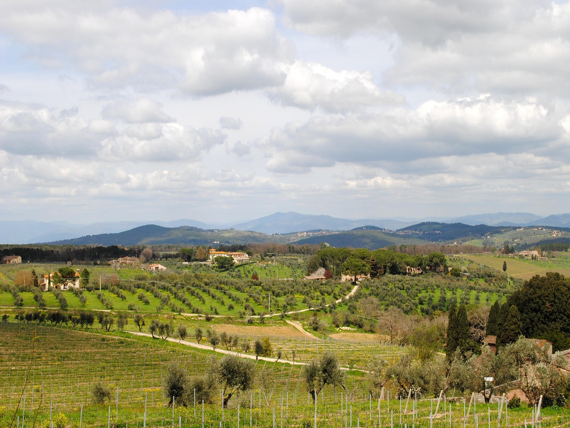 Lire la suite à propos de l’article Chianti, le plus célèbre des vins italiens