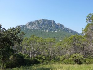 Lire la suite à propos de l’article Pic-Saint-Loup, au coeur de la garrigue