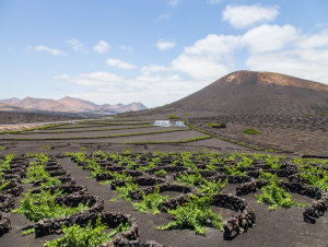 Lire la suite à propos de l’article Lanzarote, l’île à trous