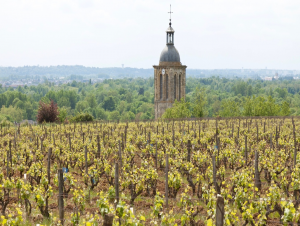 Lire la suite à propos de l’article Vouvray : l’éclat des vins de Loire