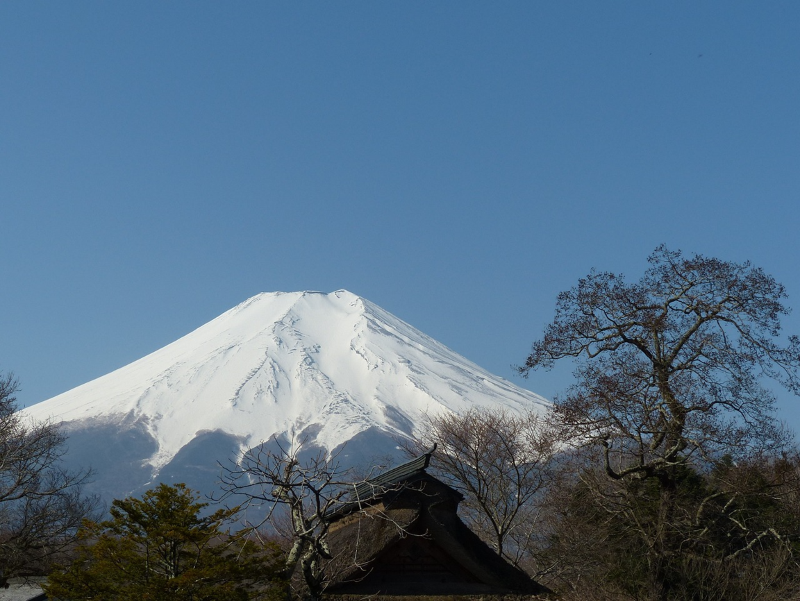 Lire la suite à propos de l’article Yamanashi, le vin au soleil levant