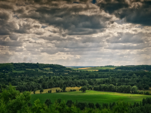 Lire la suite à propos de l’article Bourgueil, grand cru de Loire
