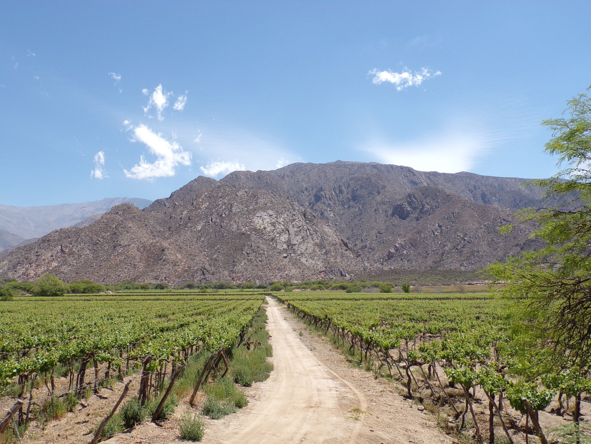 Lire la suite à propos de l’article Cafayate prend de la hauteur
