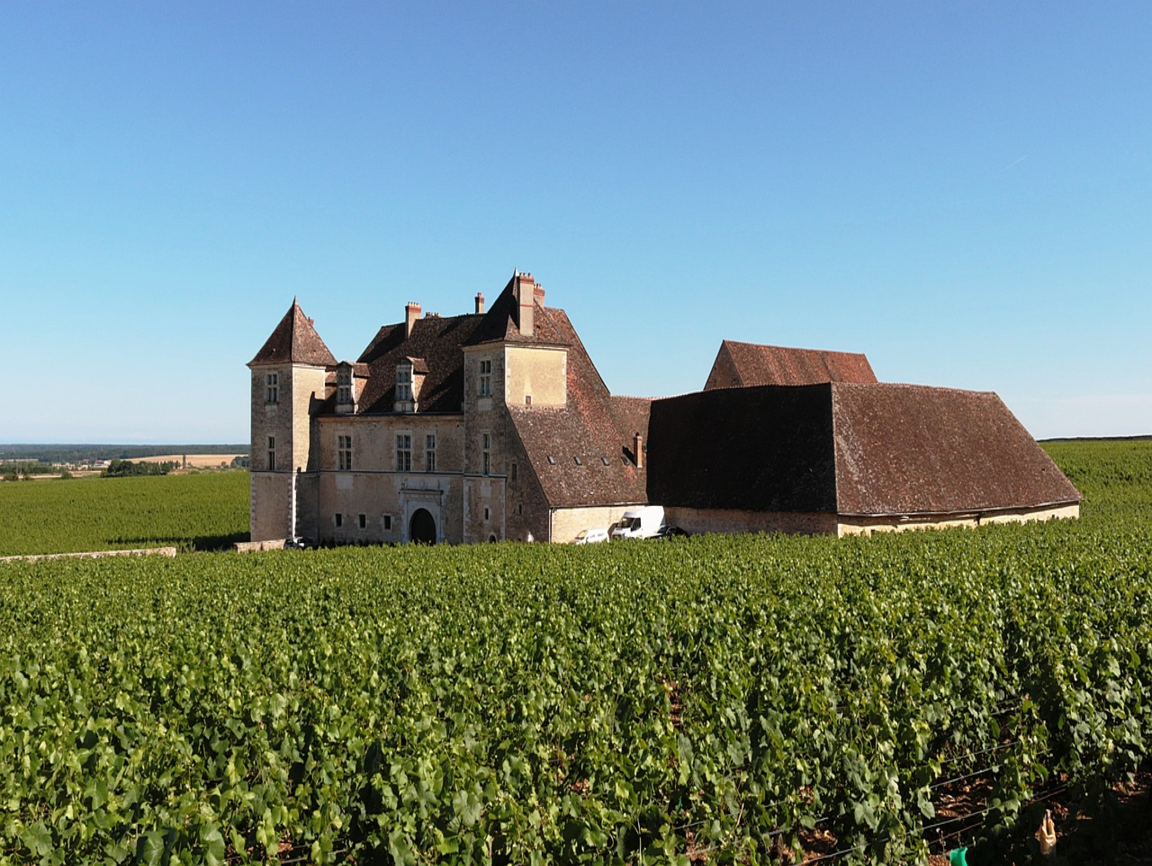 clos-de-vougeot