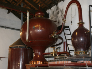 Lire la suite à propos de l’article Le Cognac, un spiritueux d’exception