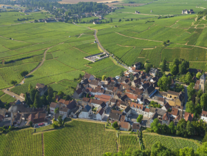 Lire la suite à propos de l’article Gevrey-Chambertin et ses Grands Crus