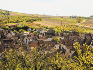 Lire la suite à propos de l’article Irancy, l’outsider bourguignon