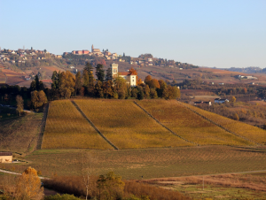 Lire la suite à propos de l’article Barolo, l’élégance italienne