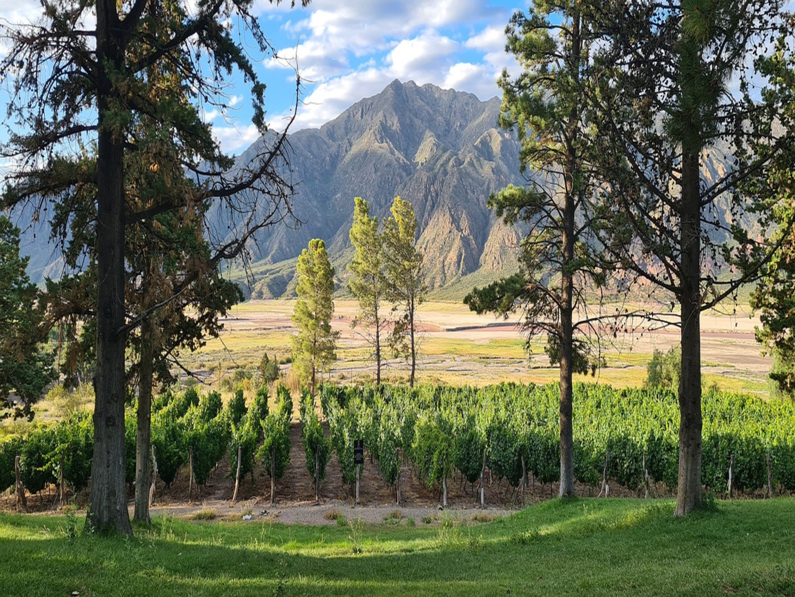 Lire la suite à propos de l’article Mendoza, capitale du vin argentin