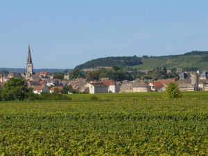 Lire la suite à propos de l’article Meursault, berceau de la viticulture cistercienne