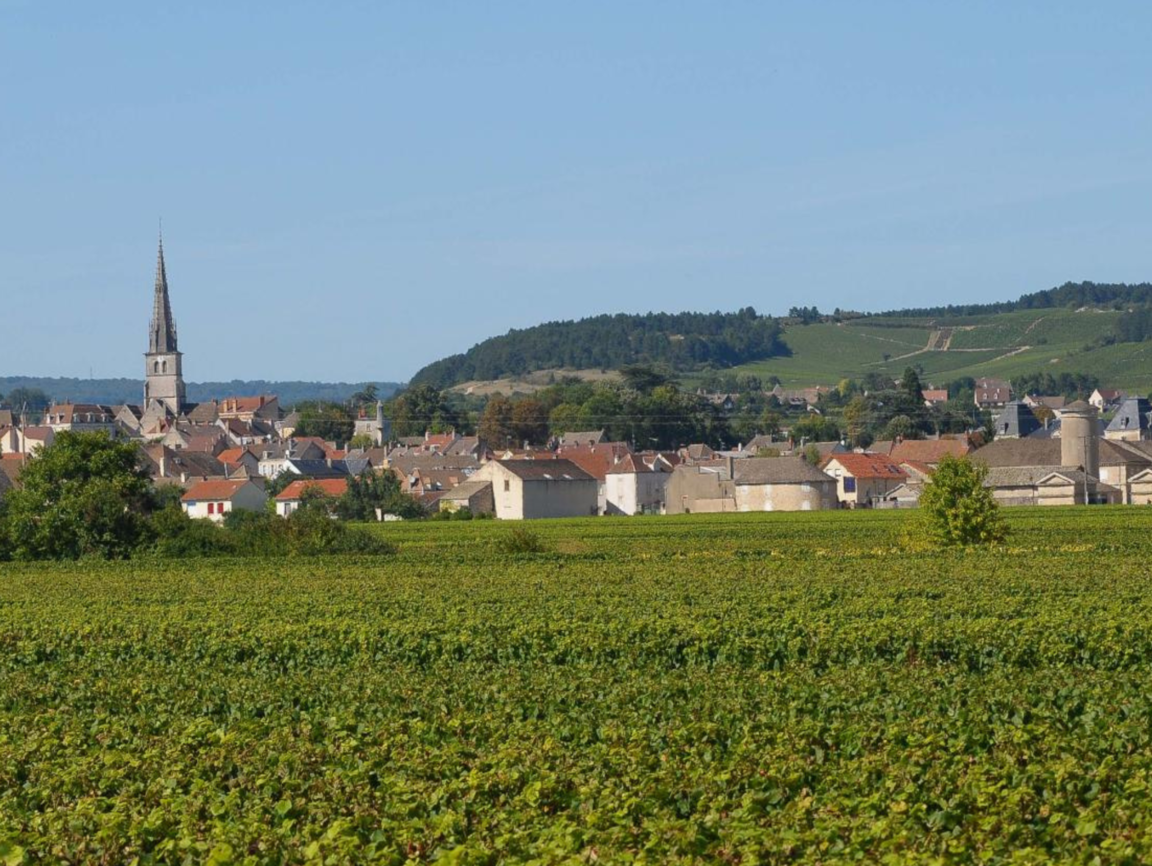 meursault