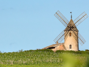 Lire la suite à propos de l’article Moulin-à-Vent, seigneur du Beaujolais