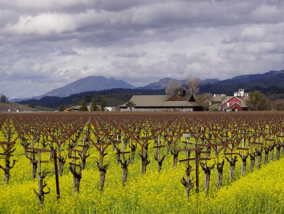 Lire la suite à propos de l’article Napa Valley, la conquête de l’Ouest