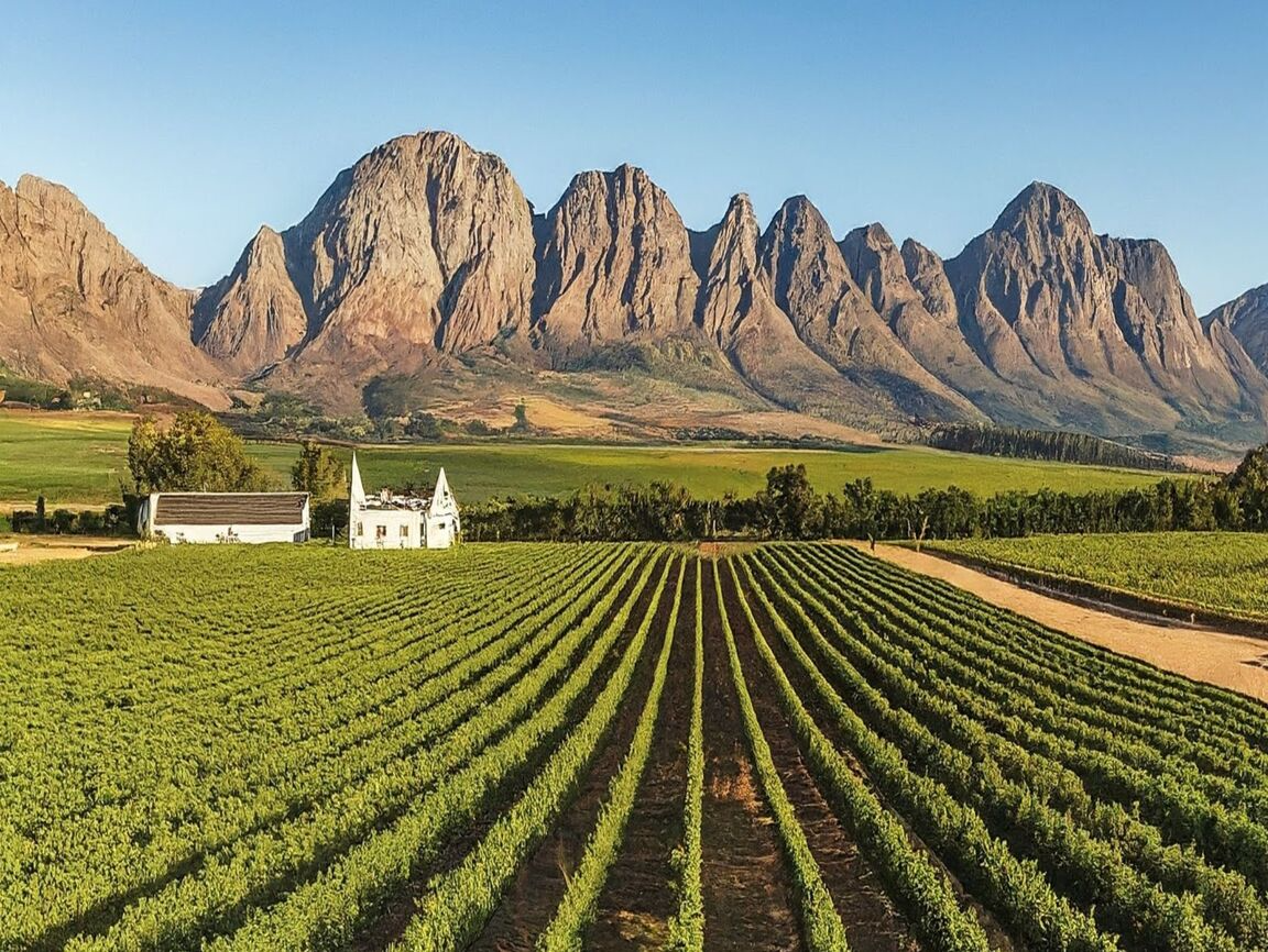 Lire la suite à propos de l’article Paarl, la perle du Cap