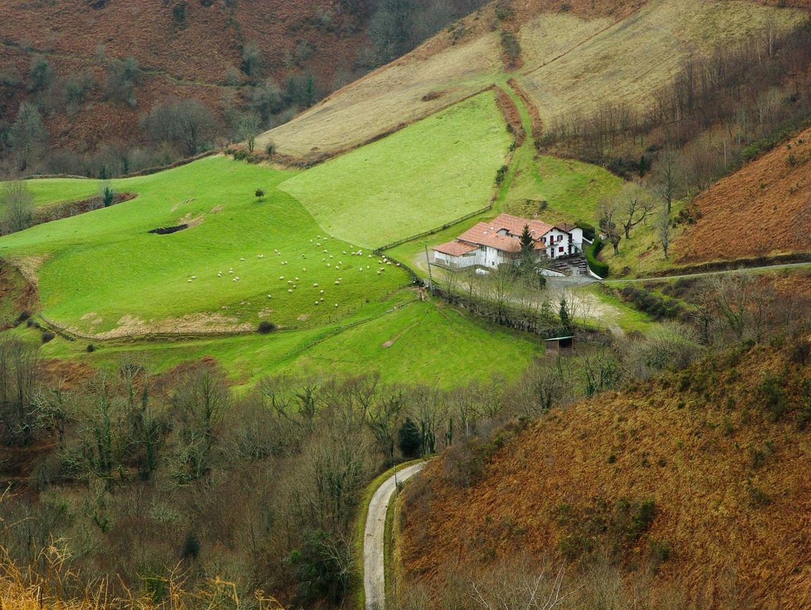 Lire la suite à propos de l’article Le txacoli, vin à l’accent basque
