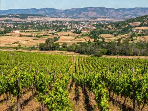 Lire la suite à propos de l’article La puissance du Toro!