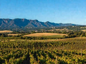 Lire la suite à propos de l’article La Tasmanie, vignoble du bout du monde