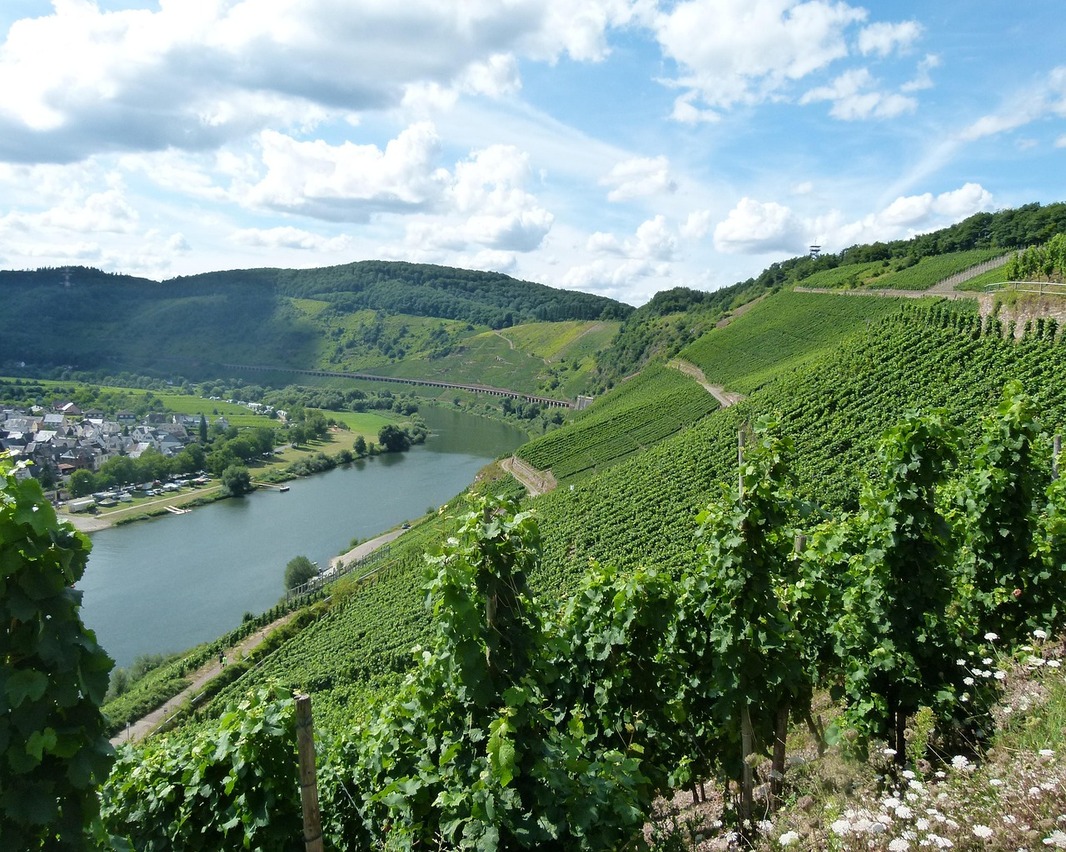 Mosel