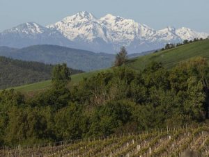 Lire la suite à propos de l’article Limoux, la Blanquette le vaut bien!
