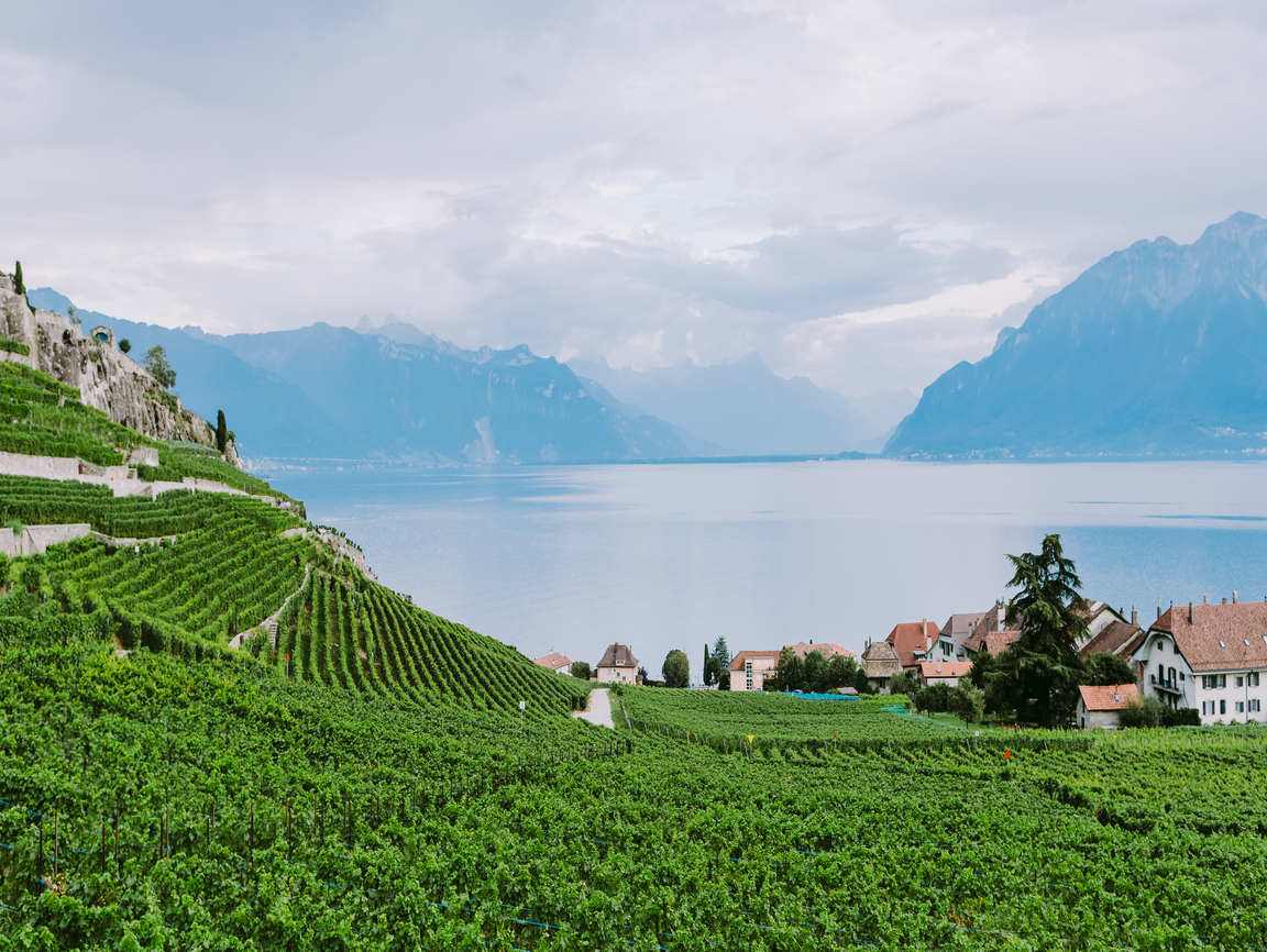 Lire la suite à propos de l’article Lavaux, le vignoble aux trois soleils
