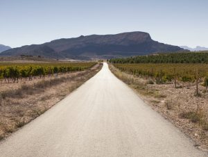 Lire la suite à propos de l’article Jumilla, l´élégance du Monastrell