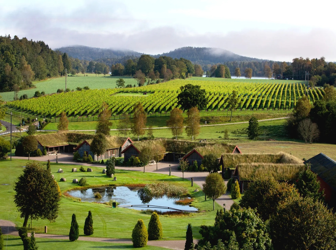 Lire la suite à propos de l’article Suède, le vin du Nord