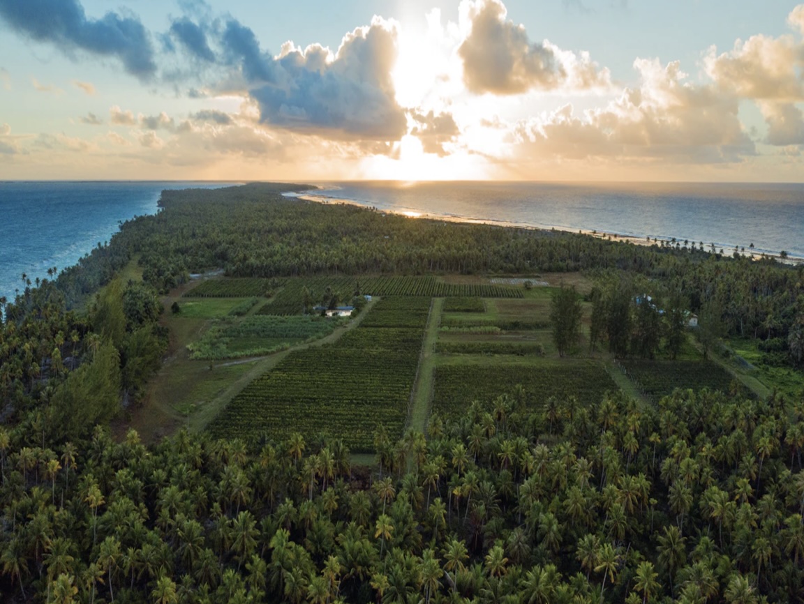 Lire la suite à propos de l’article Du vin sous le soleil de Tahiti