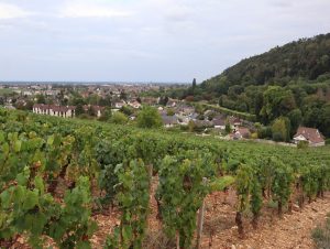 Lire la suite à propos de l’article Nuits-Saint-Georges, de la terre à la lune