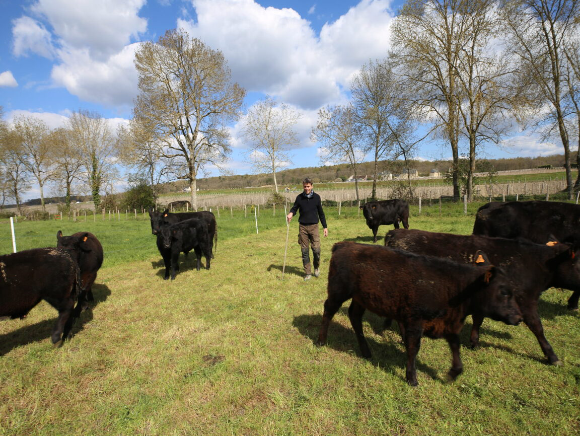 Lire la suite à propos de l’article Story : le Domaine Grosbois