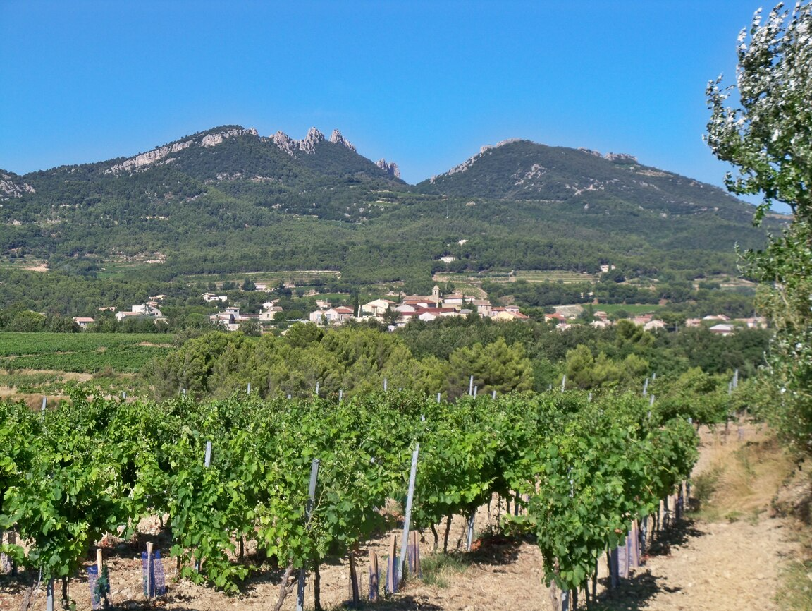 Lire la suite à propos de l’article Vacqueyras, en puissance et en dentelles