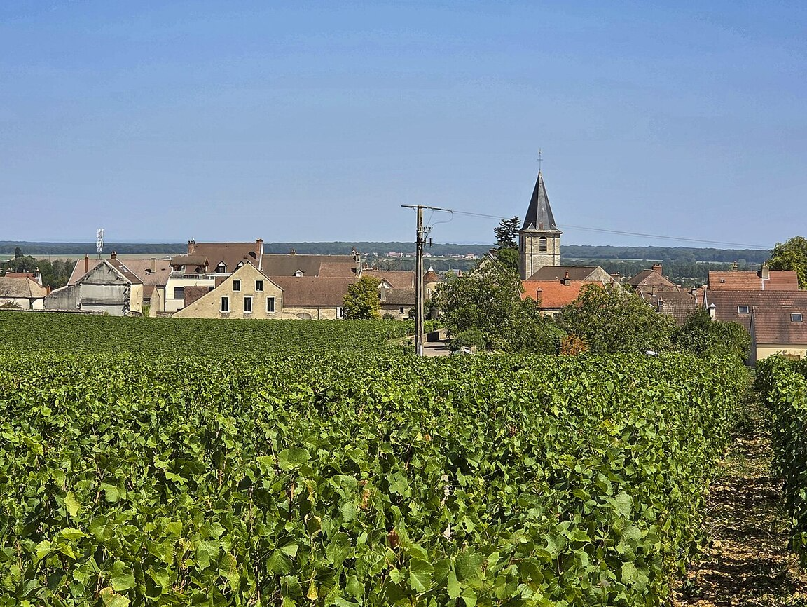 Lire la suite à propos de l’article Vosne-Romanée, seigneur de Bourgogne