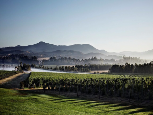 Lire la suite à propos de l’article Yarra, la Bourgogne australienne