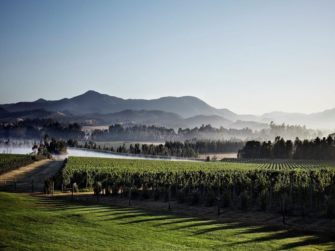 Lire la suite à propos de l’article Yarra, la Bourgogne australienne