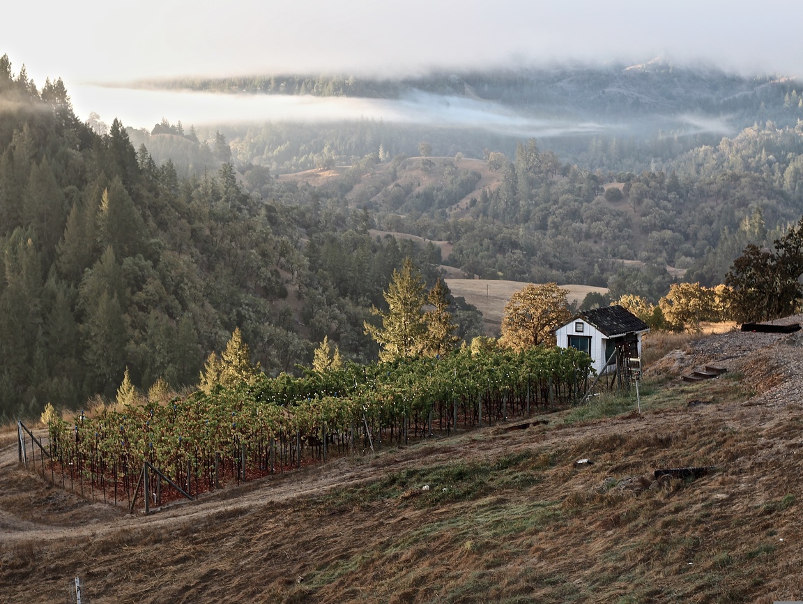 Lire la suite à propos de l’article Sonoma, l&rsquo;outsider californien